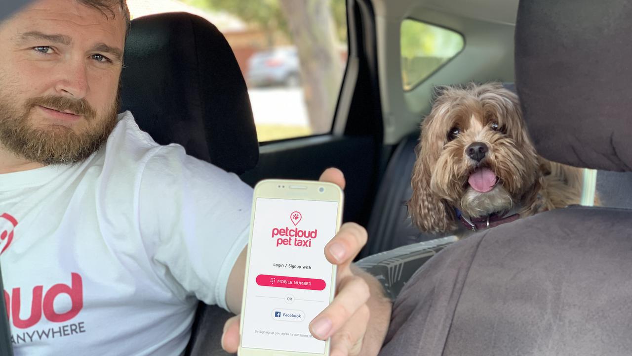 The pet taxi app from PetCloud has 1100 drivers and is looking for more to come on board.