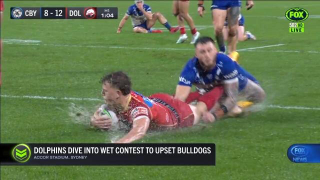 Dolphins belt Bulldogs in heavy rain