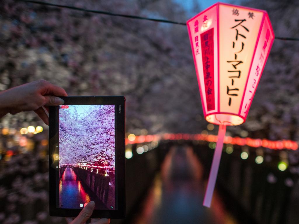 A visitor photographs cherry blossom as it hangs over the Meguro River in Nakameguro on March 26, 2018 in Tokyo, Japan. The Japanese have a long-held tradition of enjoying the blooming of cherry blossoms. The blossom is deeply symbolic, it only lasts for around one week and marks the beginning of spring. It is claimed that the short-lived existence of the blossom taps into a long-held appreciation of the beauty of the fleeting nature of life, as echoed across the nationÃ•s cultural heritage. Picture: Getty Images