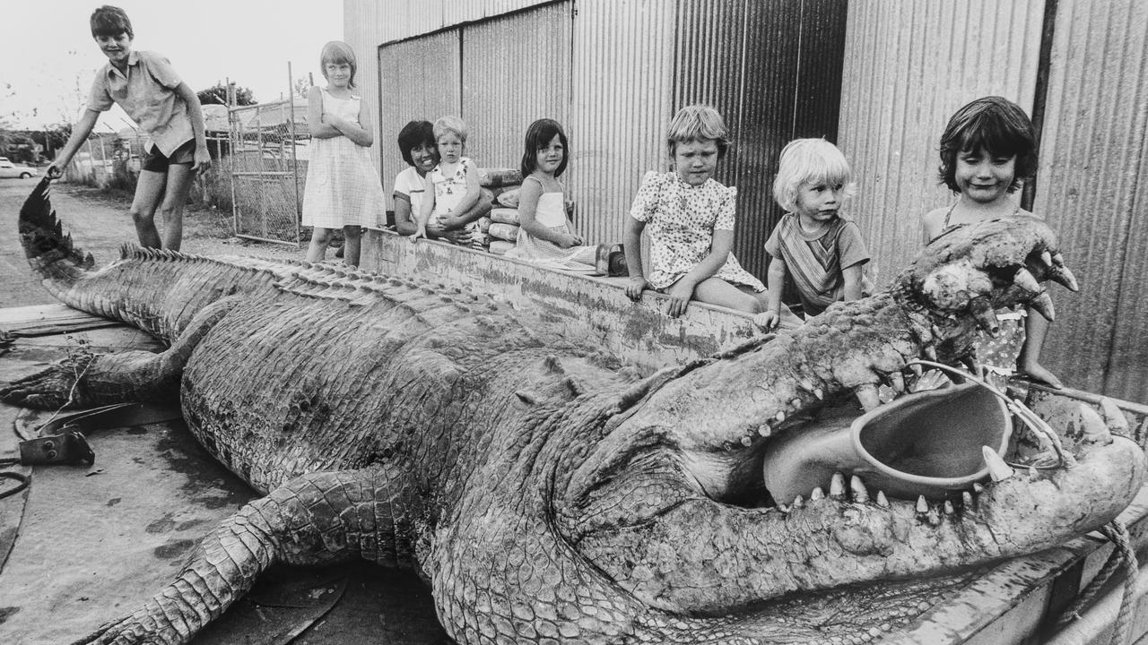 It’s 40th anniversary of Sweetheart the crocodile’s capture. Picture: Peter Bennett