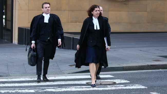 One Nation Senator Pauline Hanson And Greens’ Deputy Leader Mehreen ...