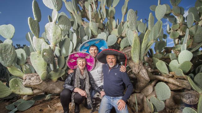 Future Victoria. Cactus Country. Owners Jim and Julie Hall, with their son John, run the cactus farm with more than 10,000 cacti. Picture: Rob Leeson.