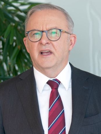 Prime Minister Anthony Albanese.