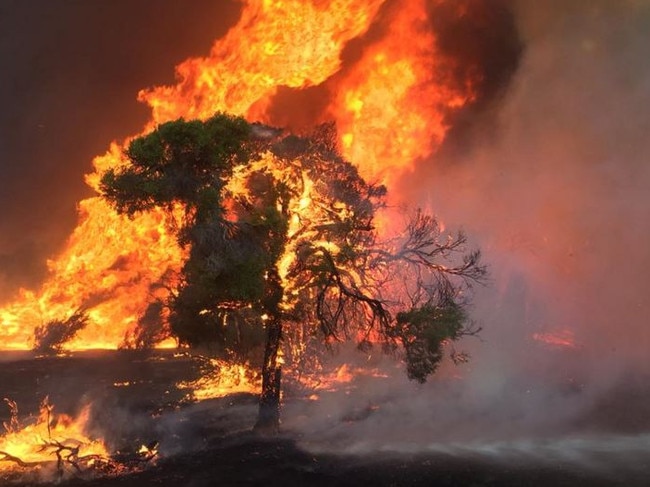 Temperatures have hit 42.5 degrees in Uduc, where firefighters are battling an out-of-control bushfire near Harvey. Picture: Harvey Hills Volunteer Fire Brigade perthnow generic fire