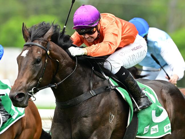 Kelly Schweida's two-year-old colt Grafterburners will line up in the $2m Inglis Millennium at Randwick on Saturday. Picture: Grant Peters, Trackside Photography.