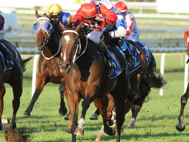 Elegant Composure wins at Doomben - Photo Grant Peters