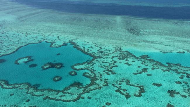 Great Barrier Reef bleaching: ‘Fight for the Reef’ video campaign ...