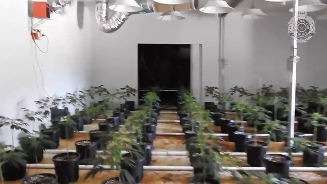 Inside the 'sophisticated' marijuana den in Torbanlea