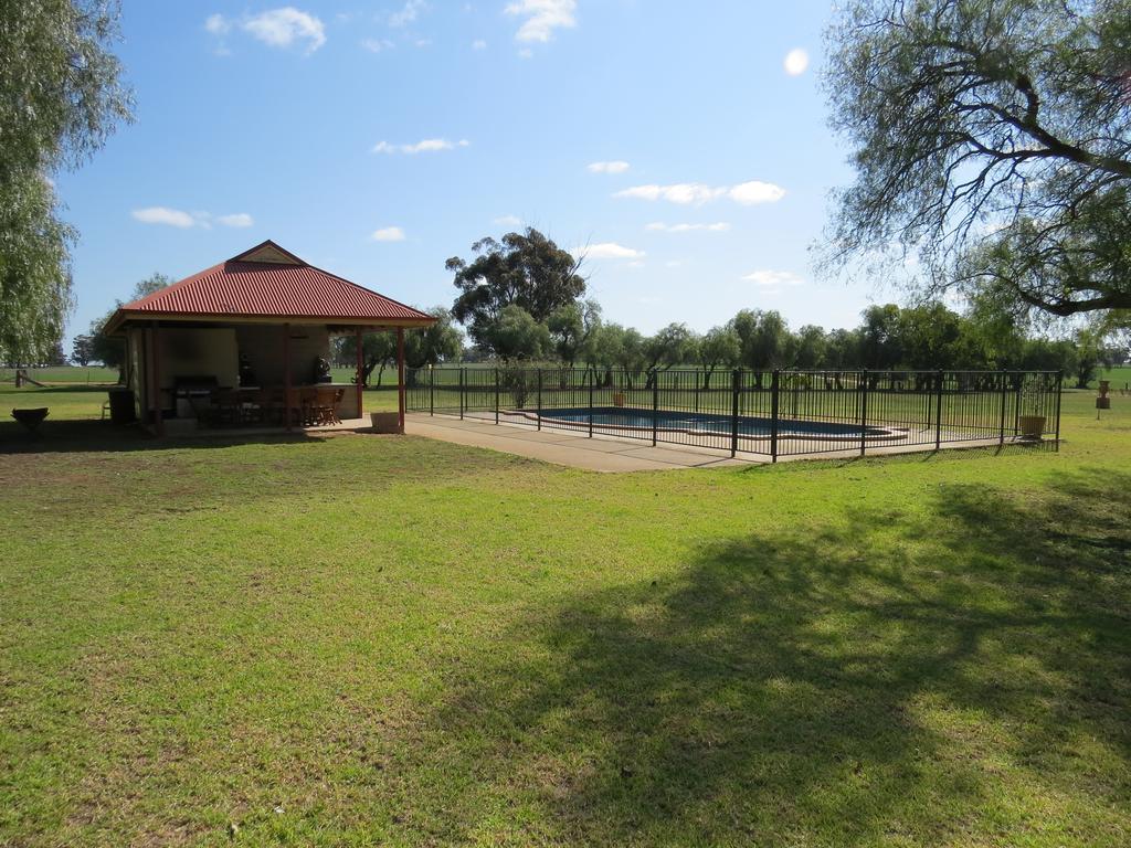 The homestead is set amongst 2ha of irrigated garden.