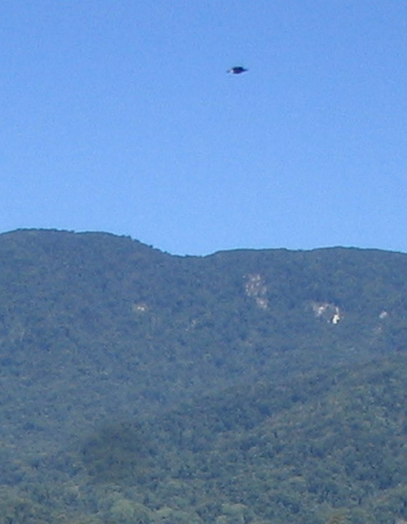 UFO photos in Queensland The Courier Mail