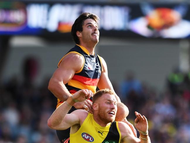 Darcy Fogarty is a chance to return against the Blues on Thursday. (Photo by Mark Brake/Getty Images)