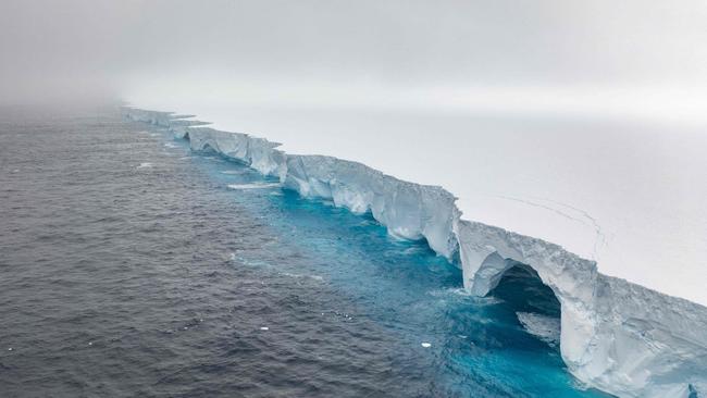 The A23a iceberg in the Southern Ocean, the world’s biggest iceberg, appears to have run aground, potentially sparing the crucial wildlife breeding ground of South Georgia from being hit by the behemoth.