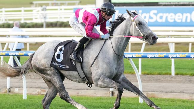 Frigid wins at Mornington.