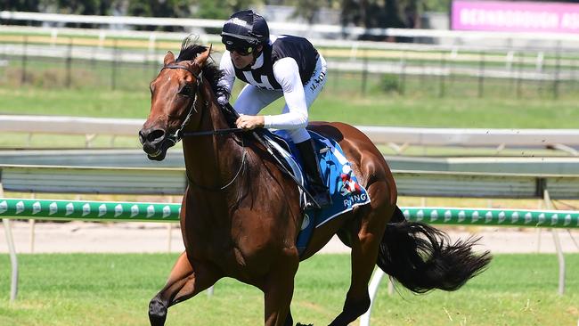 Garibaldi may not be back to his best – but he is back in winning form. Picture: Trackside Photography