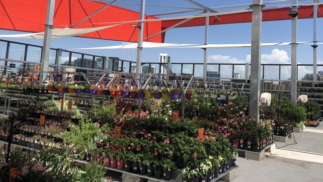 The new Bunnings Warehouse Newstead has a rooftop nursery. Picture: Amanda Horswill