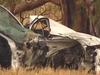 Driver fighting for life after car, truck collision near Two Wells