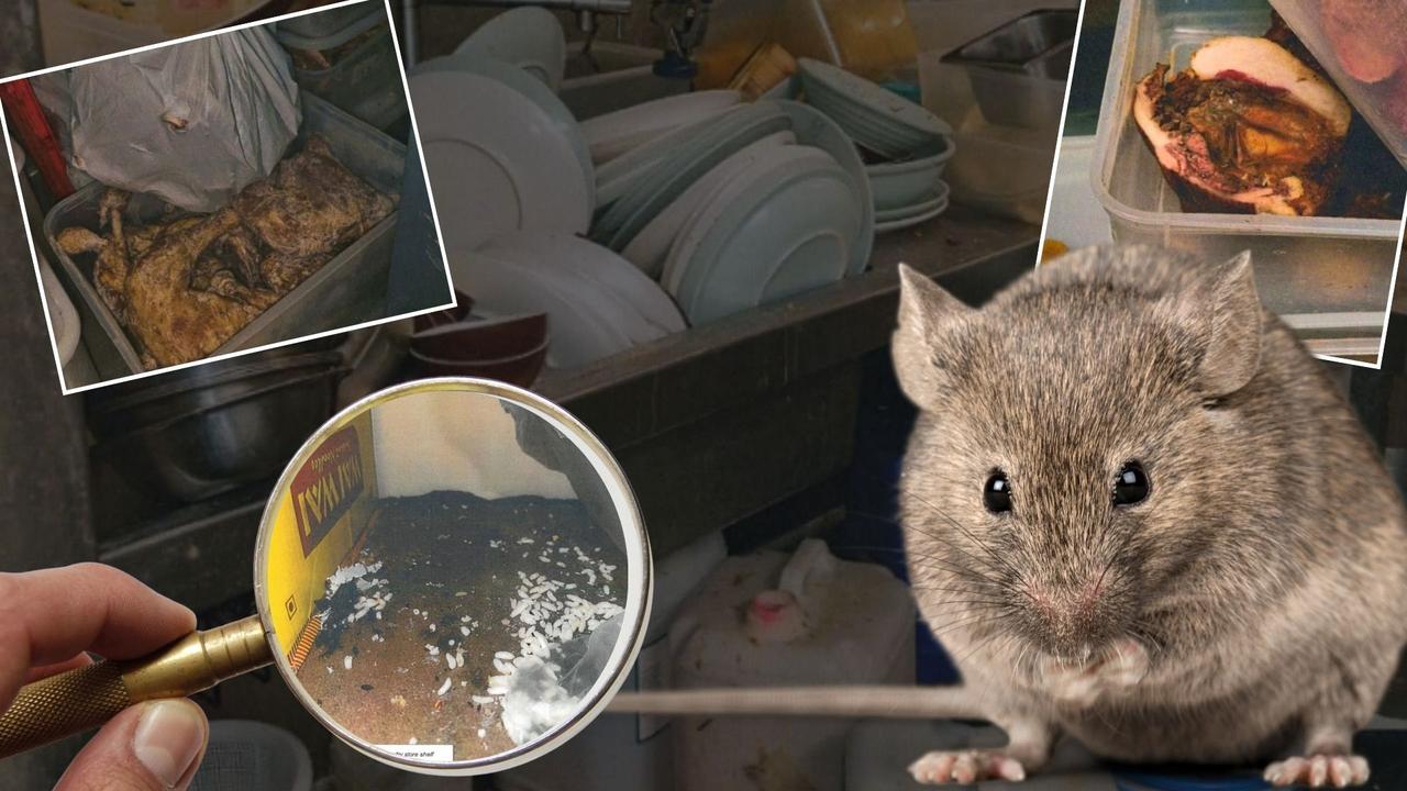 Shame file: Filthy Melb rat-infested restaurants from hell