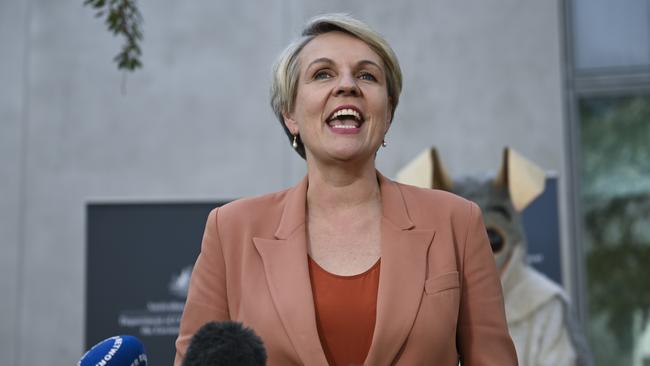 Environment Minister Tanya Plibersek has approved the Smoky Creek solar farm.