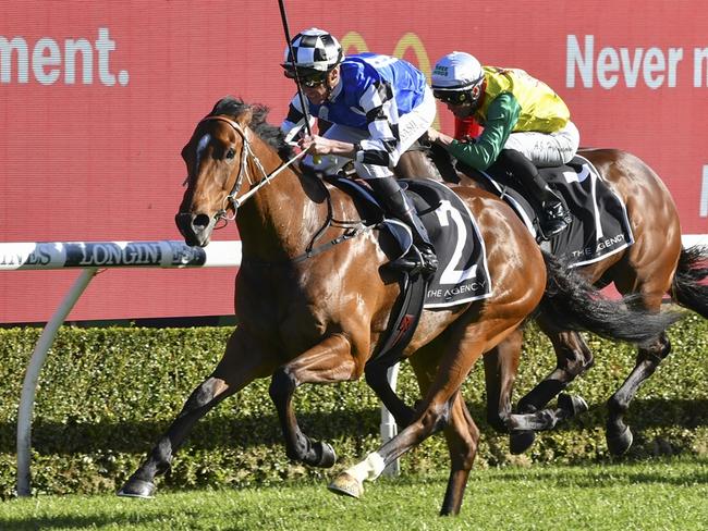 Dream Hour is ready for a peak performance in race 4 at Randwick. Picture: Bradley Photo