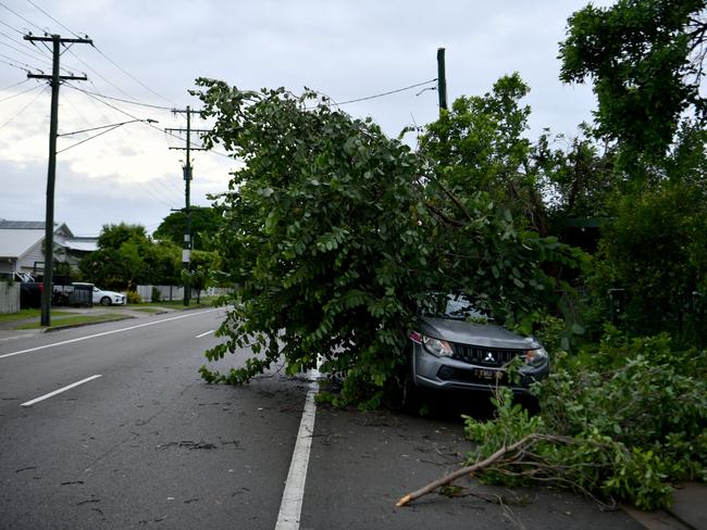 Cyclone Kirrily Townsville 2024. Tree down, Bayswater Terrace, Hyde Park. Picture: Evan Morgan