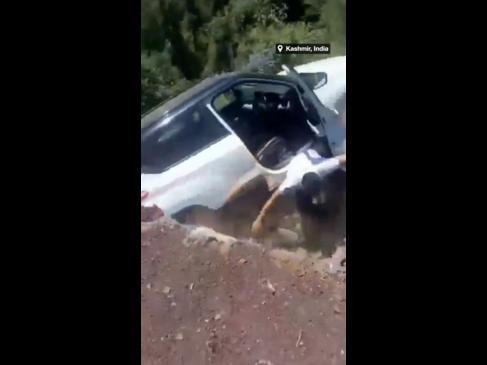 Car plunges down cliff while ascending steep road