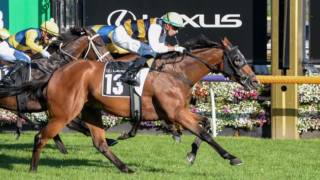 Michael Dee had to get to work on Mark Twain to win the Roy Higgins at Flemington. Picture: Ross Holburt/Racing Photos via Getty Images