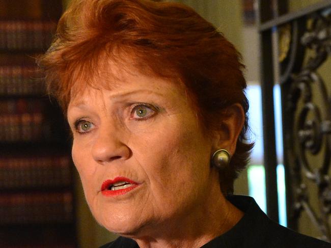 MELBOURNE, AUSTRALIA - NewsWire Photos DECEMBER 20TH, 2022: Pauline Hanson speaks to the media at Victorian Parliament. Picture: NCA NewsWire / Nicki Connolly