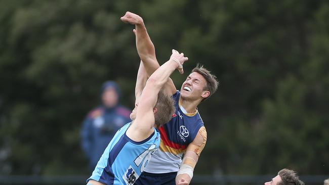 Tom Doedee is expected to get his shot at the Crows this season. Picture: Stephen Laffer