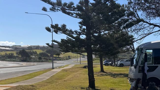 The Ballina Shire Council made a decision on Jun 27, 2024 not to cut down the Norfolk trees at Sharpes Beach for extra parking spaces. Picture: Cr Rod Bruem's Facebook page.