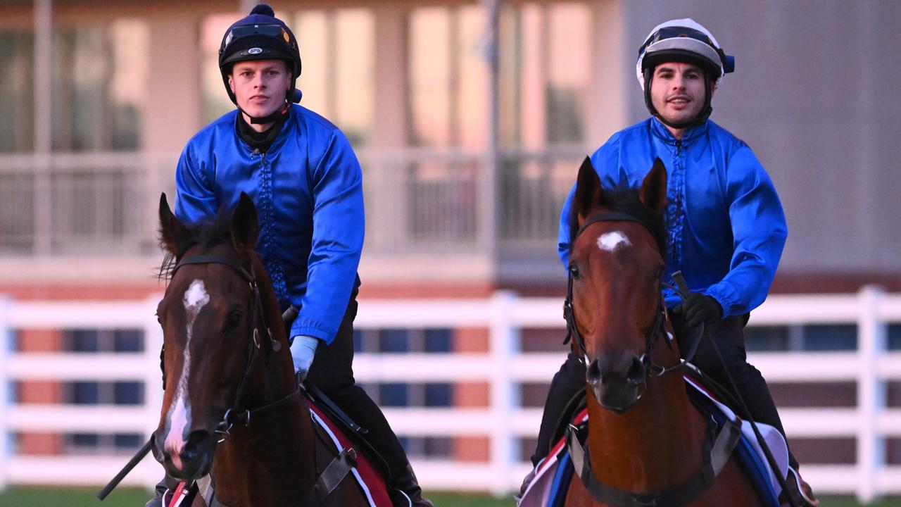 Ethan Brown Riding Confidence Wave Into Caulfield Cup