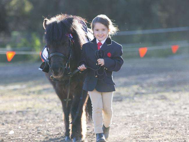 Evie Delicata (4 years old) poses for photographs with her pony 'Fyn' (8 years old) at her home in Austral, NSW, Australia, 28 July, 2017.  Evie has recently won 14 ribbons at the Winter Woolies Show run by the Pinto Horse Association of NSW.  (AAP IMAGE/Melvyn Knipe)