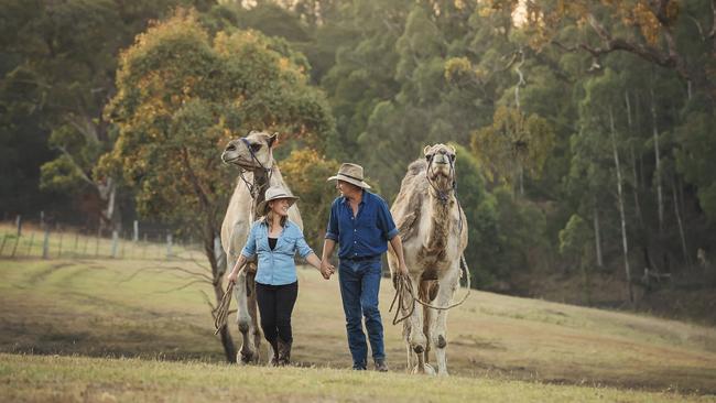 Easy riders: Tara Lea and Russell Osborne at Toorloo Arm, near Lakes Entrance, where the family run Camel Connections. Pictures: Louise Sedgman Photography