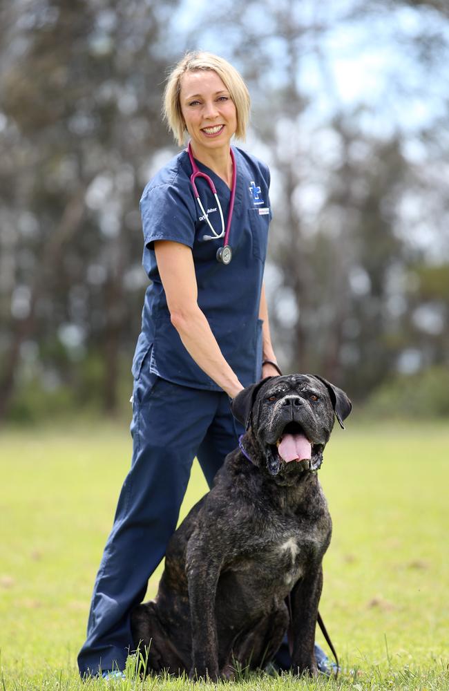 Animal Welfare League NSW chief vet Simone Maher said he was lucky to survive. Picture: Sam Ruttyn