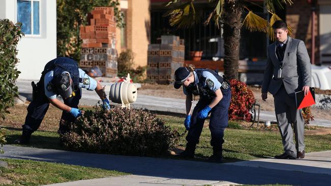 Police say they were stunned at the scene they encountered after being called to the St Clair street. Picture: David Swift.