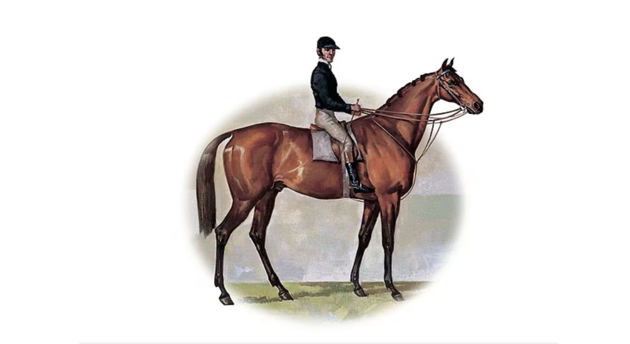 Archer, the first winner of the Melbourne Cup.