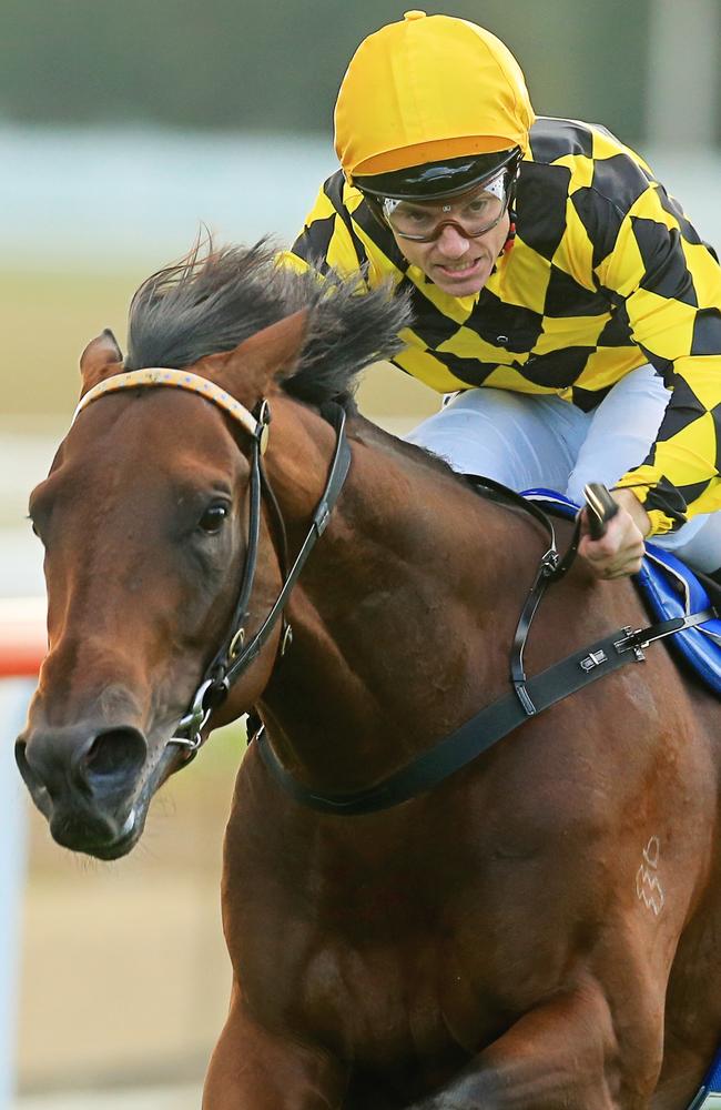 Tim Clark produced a great ride on Spill The Beans. Picture: Jenny Evans