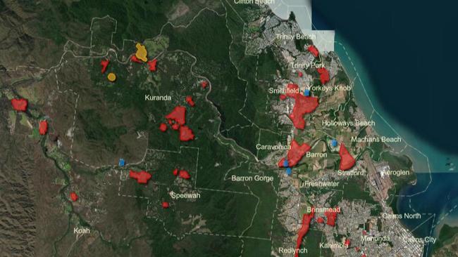 Cairns and Northern Beaches. The interactive map displays a yellow shaded overlay for yellow crazy ant zones and a red shaded overlay for electric ant zones. Source AntZone