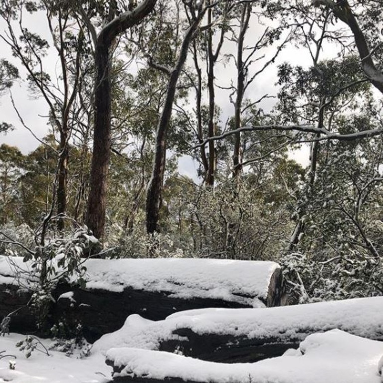 Snow in Cradle Mountain. Picture: @wildernessvillage