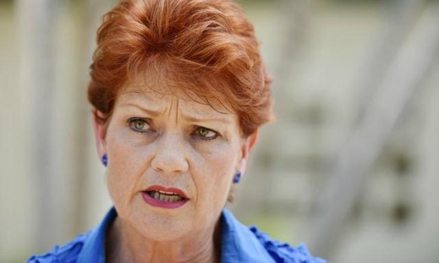 Pauline Hanson claims vaccinating your child causes autism and cancer