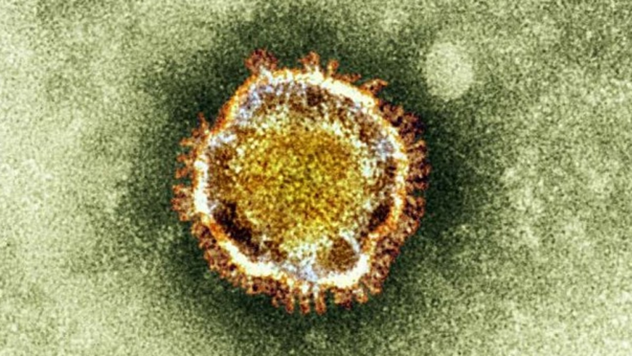 An electron microscope image of a coronavirus provided by the Health Protection Agency in 2013. Picture: Reuters/Health Protection Agency