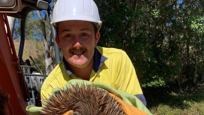 Kyogle Council worker Adam with Sid the echidna. Picture: Kyogle Council