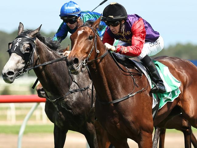 KEMBLA GRANGE, AUSTRALIA - NOVEMBER 23: Jason Collett riding  Gilded Water wins Race 5 PFD Food Services during "The Gong Day" at Kembla Grange Racecourse on November 23, 2024 in Kembla Grange, Australia. (Photo by Jeremy Ng/Getty Images)