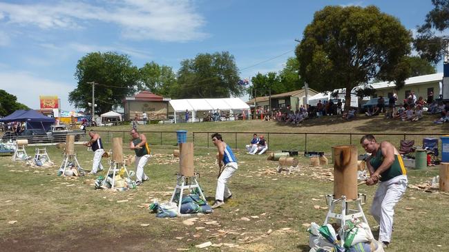 A wood chopping competition at the Ballarat Show.