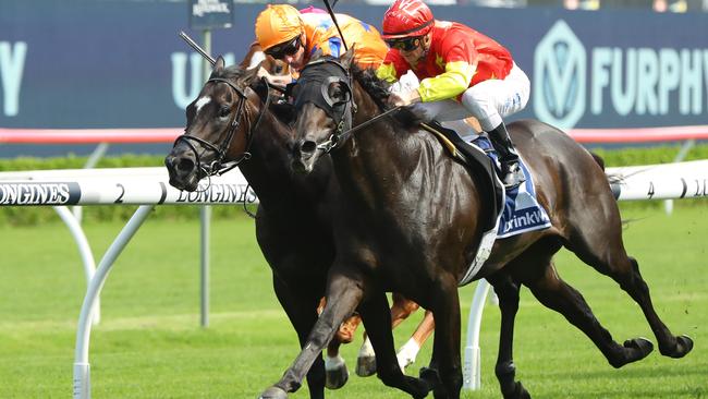 Zac Purton rides Artorius to victory over star NZ mare Imperatriz in the 2023 Canterbury Stakes at Royal Randwick. Picture: Jeremy Ng–Getty Images