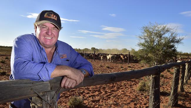 Front and centre: Central Australian cattle producer Viv Oldfield.