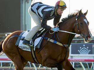 Flemington Trackwork