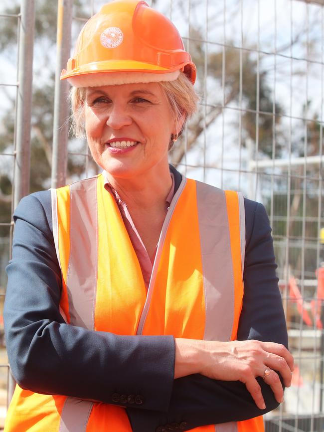 Federal Environment Minister Tanya Plibersek.