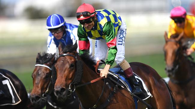 Jockey Robbie Fradd rides Valfierno to win at Doomben at his latest start on October 4. Photo: AAP Image/Dan Peled