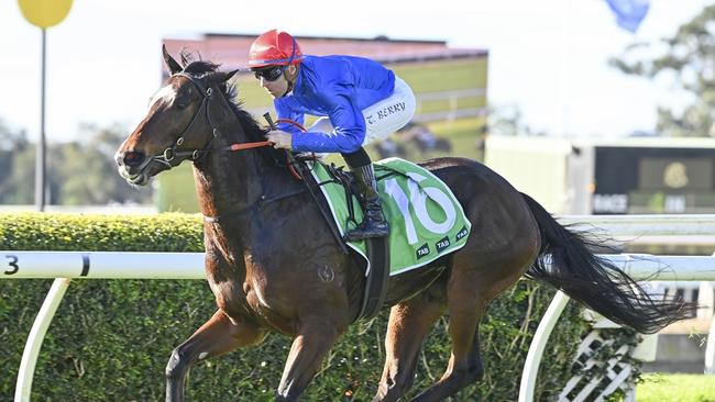 Drift Net can end the day at Rosehill Gardens on a high note. Picture: Bradley Photos