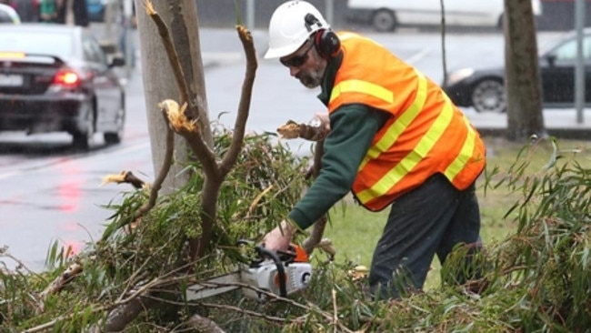 Heavy wind cuts power to thousands of Victorian homes | Herald Sun